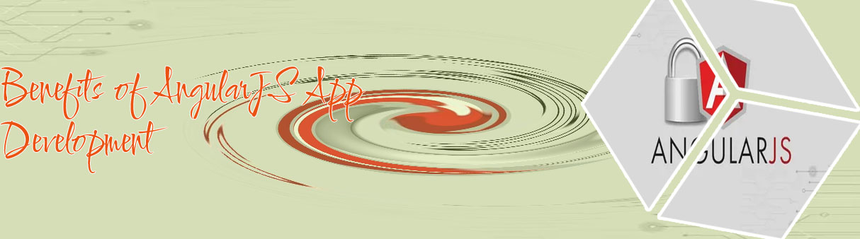 Angular js company