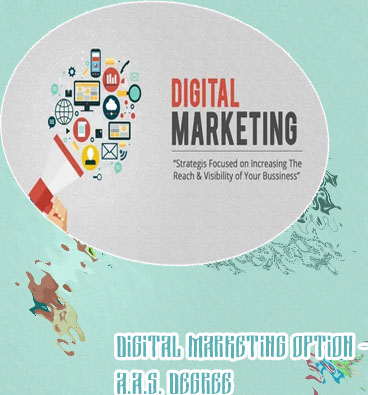 Digital marketing sussex