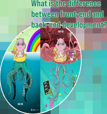 Front end and back end software