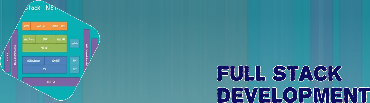 Full stack web application developer