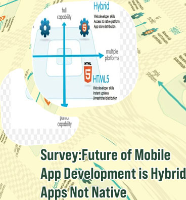 Hybrid web development