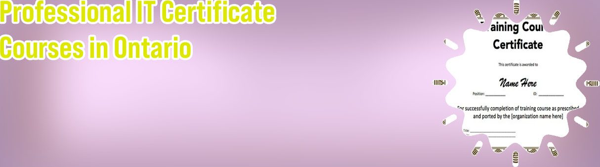 It certificate courses