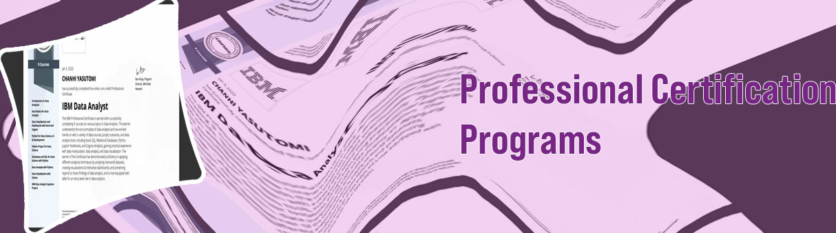 It professional certification courses