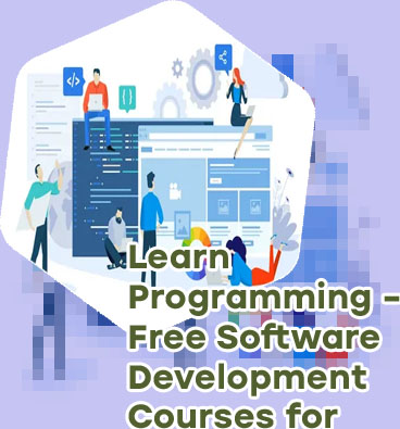 Online software development