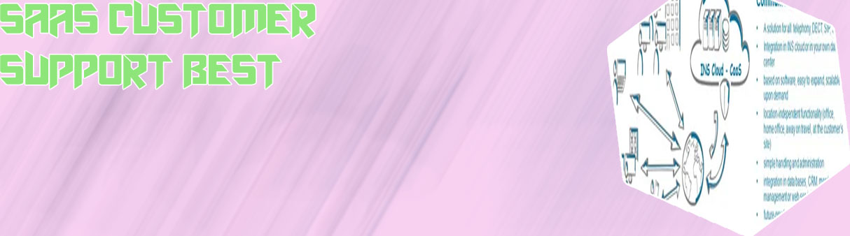Saas it service management