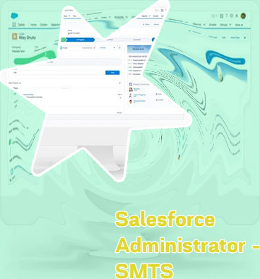 Smts salesforce