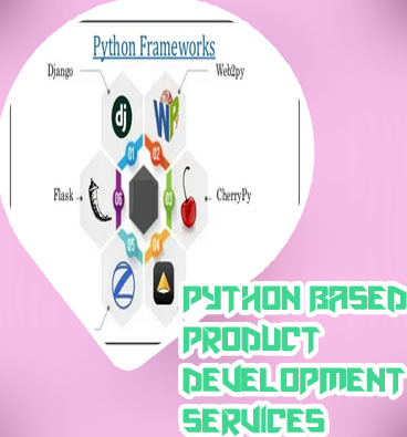 Top python development companies